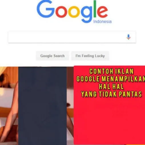 InShot 20241211 145516274